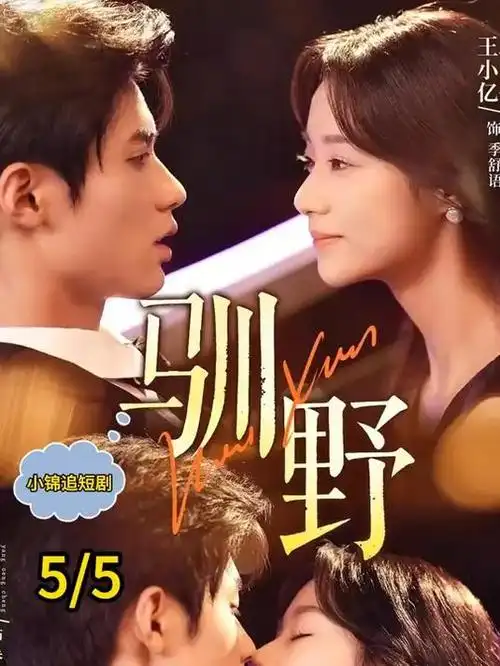 无声证词 刑侦剧全集在线观看